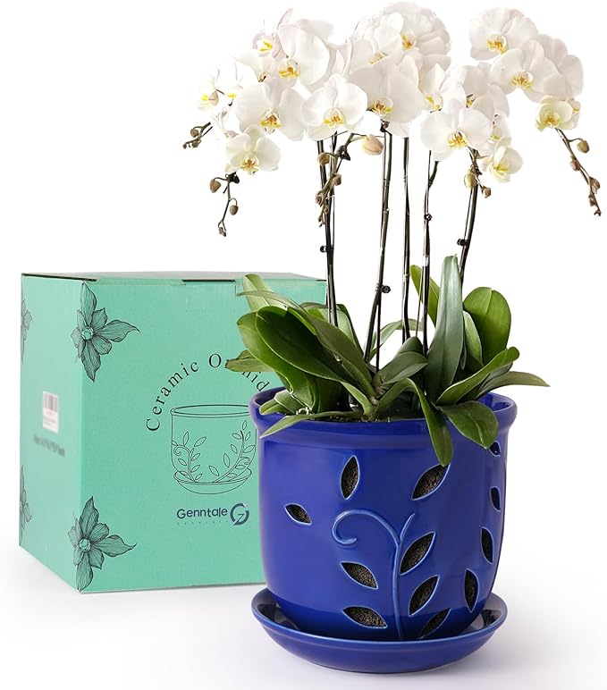 6.1 in Ceramic Orchid Pot with Holes & Saucers, Large Orchid Planter for Indoor Outdoor Home Decor, Flower Plant Pot with Drainage for Repotting, Blue