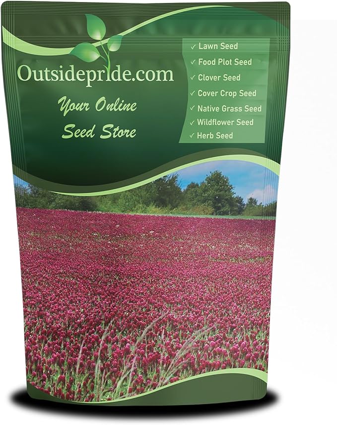 Outsidepride Crimson Clover Seeds - 2 lbs. Annual, Nitrocoated, & Inoculated Ground Cover Seeds, Ideal Clover Seed for Lawn, Cover Crop, Pasture, Hay, Green Manure & Wildlife Forage