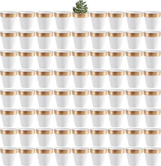 Yishang 72 pcs Small Mini White&Gold Clay Pots, 2.5'' Terracotta Pot Clay Ceramic Pottery Planter,Cactus Flower Terra Cotta Pots,Succulents Nursery Pots,with Drainage Hole,for Crafts,Wedding Favor