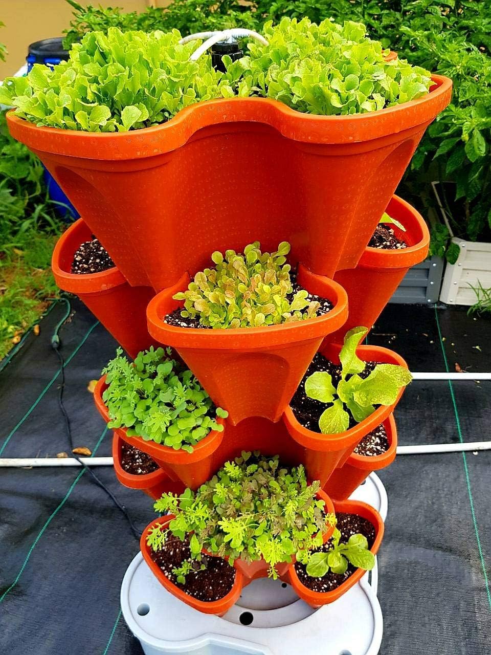 Mr. Stacky Smart Farm - Automatic Self Watering Garden - Grow Fresh Healthy Food Virtually Anywhere Year Round - Soil or Hydroponic Vertical Tower Gardening System (Standard Kit, Terracotta)