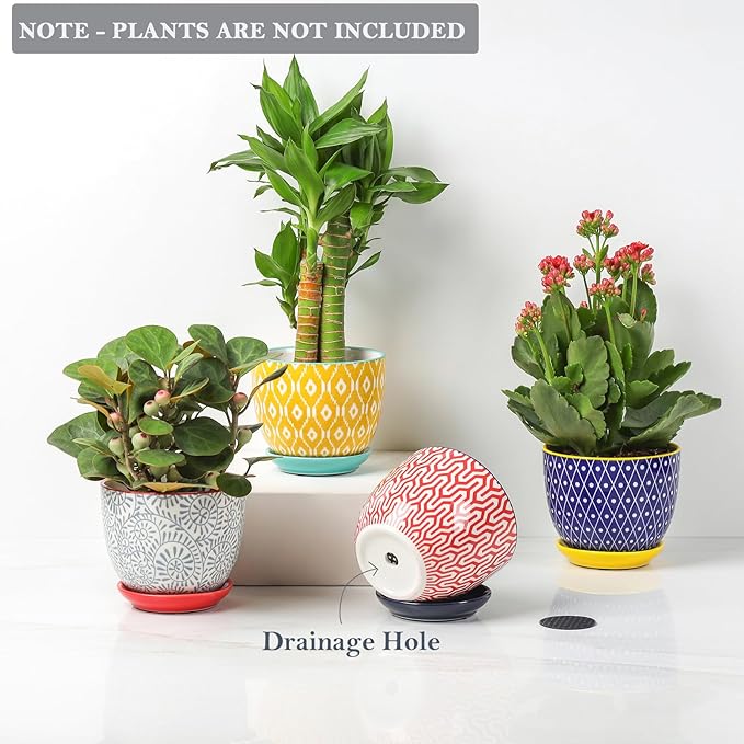 Selamica Ceramic Succulent Pots with Drainage Holes, Small Flower Pots 3.5 Inch Plant Pots for Indoor Plants with Saucers, Cactus Succulent, Home Decor, Set of 4, Assorted Colors