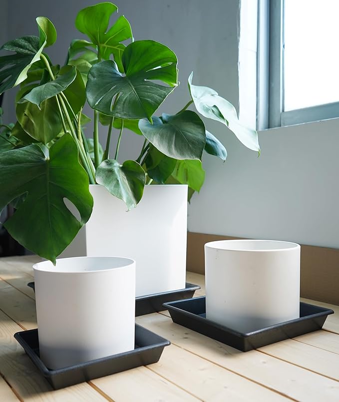 Square Plant Saucer 14 Inch 2 Pack 8 12 14 16 18 20 Plant Trays for Pots Heavy Duty Plastic Plant Saucers for Indoors Outdoors, Flower Pot Plant Drip, Extra Lager No Holes Plant Tray