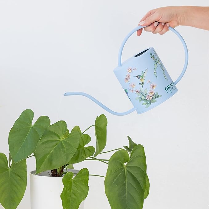 Watering Can for Indoor Plants - House Plant Watering can - Colorful, Decorative Indoor Water can for Plants - Metal Indoor Watering can with Long Spout - 1.5L 51floz 0.4 Gallon(Hummingbird Blue)