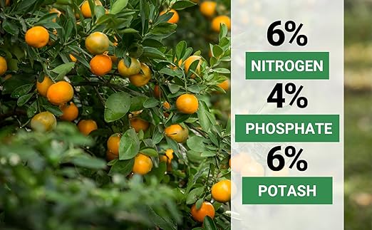 Avocado & Citrus Tree Fertilizer for Indoor & Outdoor Plants | Quick-Release Nitrogen - Citrus Fertilizer (3 Quarts)