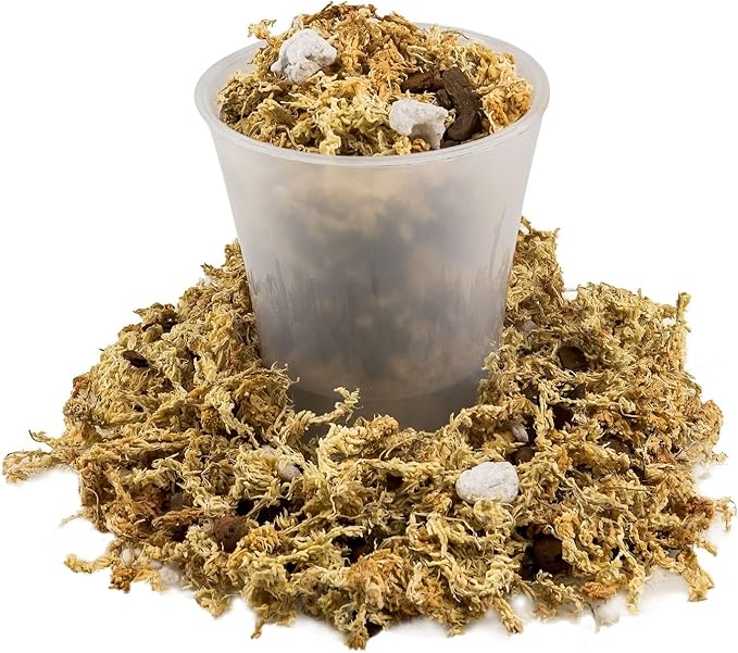 Premium Phalaenopsis Imperial Orchid Potting Mix - Hand Mixed in Small Batches | Great for Phalaenopsis of All Kinds - by GARDENERA - 4 Quart Bag