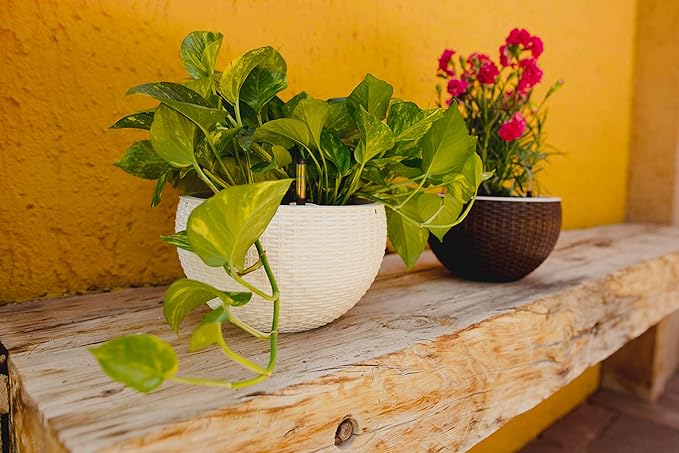 GARDENIX DECOR 11'' Self Watering Hanging planters for Indoor Plants - Flower Pot with Water Level Indicator for Plants, Hanging pots - Self Watering Planter Plant Pot-Coco Coir- Round 1 Pack - White