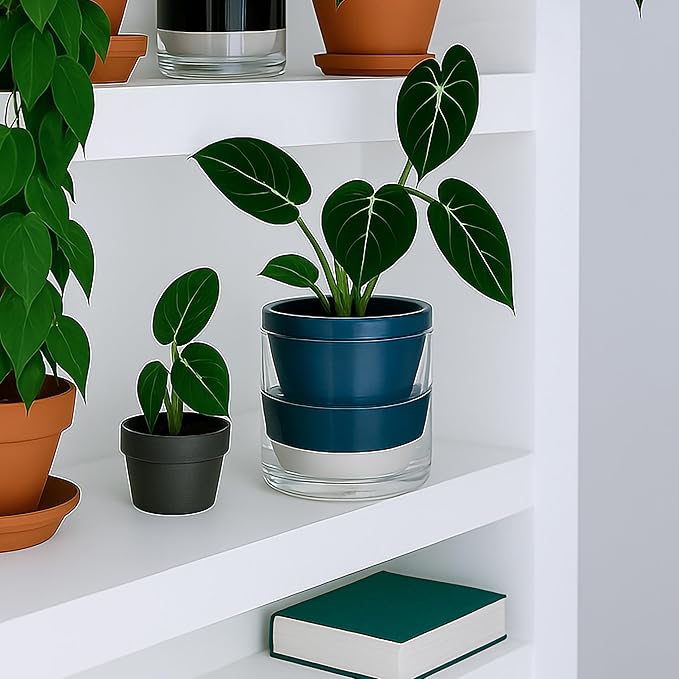 D'vine Dev 6 Inch Design Self Watering Planter for Indoor Plants, Blue Terracotta Pot with Cylinder Glass Cup, 37-X-B-4