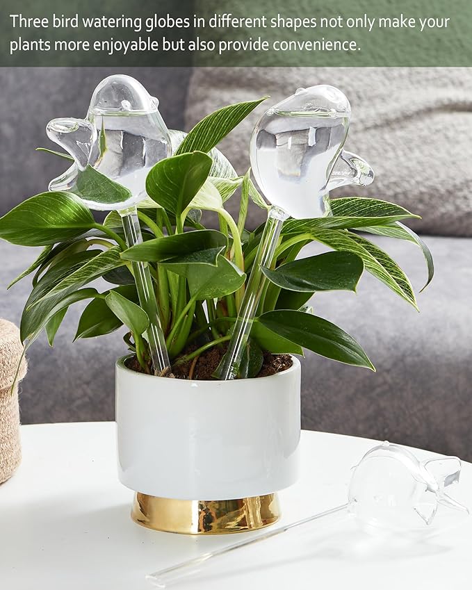 DN DECONATION 3 Pcs Bird Shaped Watering Globes, Birdlike Clear Glass Watering Bulbs, Watering Bulbs for Indoor Plants & Outdoor, Automatic Plant Watering System to Support Plant Health, Decor