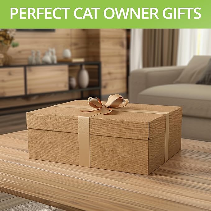 Cat Grass Kit for Indoor Cats – x4 Seed Packets | Cat Grass Seeds with Wooden Planter, Soil & Mini Gardening Tools for Nipping – Pet-Safe Wheatgrass Grass