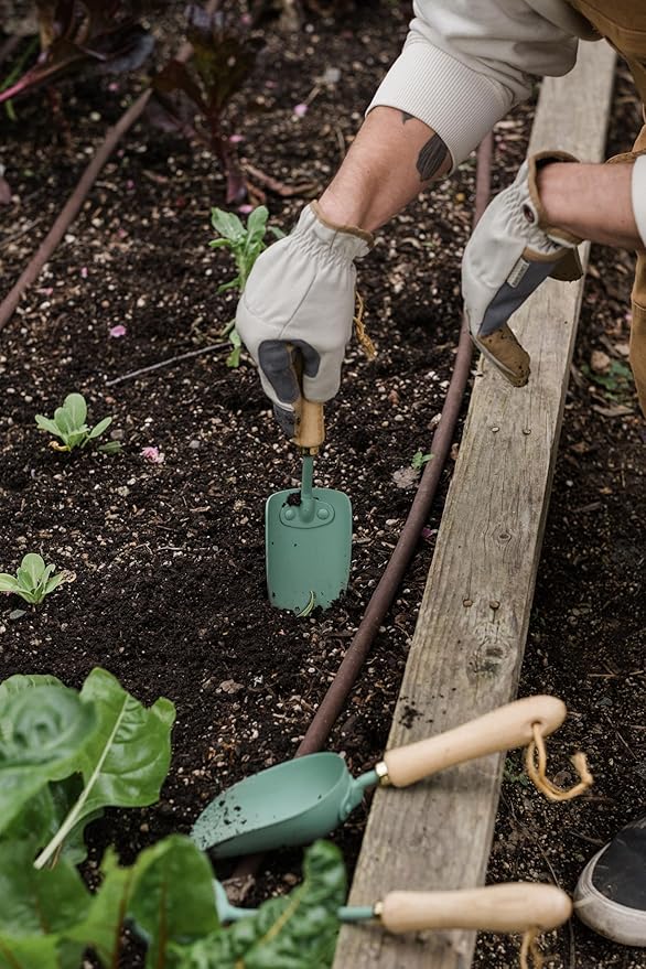 Barebones Spade Hand Trowel - Gardening Hand Tools - Stainless Steel Spade Shovel - Premium Quality Garden Spade - Japanese Garden Tool - Multipurpose Tool (Ash/Mint)