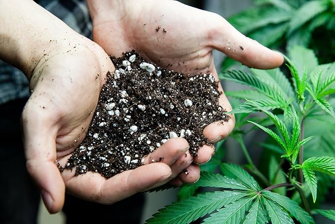 Premium JUST-ADD-Water Potting Soil Mix - Optimal Nutrient-Rich Blend for Thriving and HIGH-Yield Herbal Plants - 4 Quart