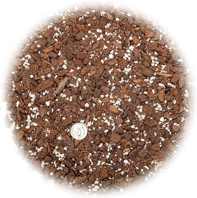 Monstera Adansonii Premium Potting Mixture: Promote Aeration, Drainage & Nutrient Uptake - 2 Quart