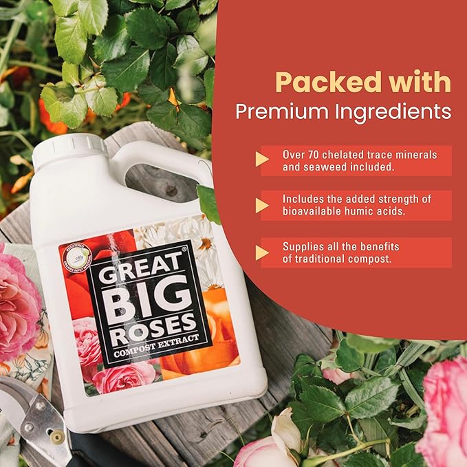Great Big Roses – Soil and Rose Fertilizer Booster to Grow The Best Roses and Flowers; Rose Food Compost Extract for Rose Bush, 1 Gallon Concentrate (Makes 32 Gallons)