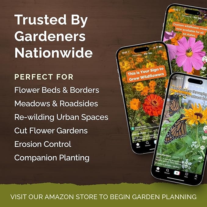 Eden Brothers All Perennial Wildflower Mixed Seeds for Planting, 50 lb, 24,000,000+ Seeds with Lupine, Shasta Daisy | Attracts Pollinators, Plant in Spring or Fall, Zones 3, 4, 5, 6, 7, 8, 9, 10