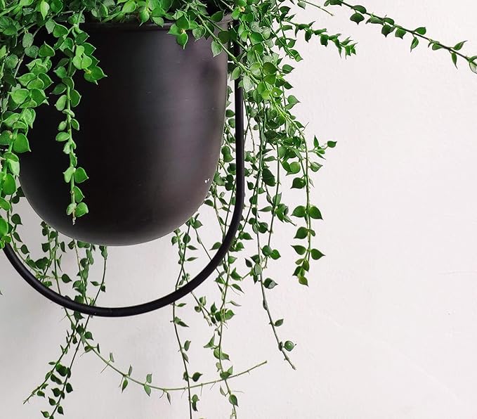 Boho Black Metal Plant Hanger,Metal Wall and Ceiling Hanging Planter, Modern Planter, Mid Century Flower Pot Plant Holder, Minimalist Planter for Indoor Outdoor Home Decor