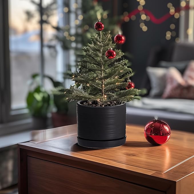 8 Inch Pots for Plants, Ceramic Planter Pot with Drainage Hole & Saucer, Indoor/Outdoor Cylinder Round Planter Pot, Matte Black