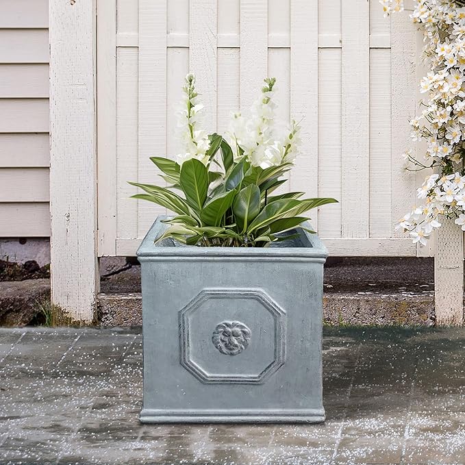 Kante Square Lion Head Concrete Planter, Classic English Style Plant Pot with Drainage Hole and Rubber Plug for Indoor Outdoor Garden Patio Home, 10.2"x10.2"x 10.2" Antique Gray