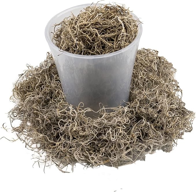 Premium Natural Spanish Moss | Natural Preserved - Great Ground Cover - Filler for Potted Plants - by GARDENERA - 5 Quart Bag