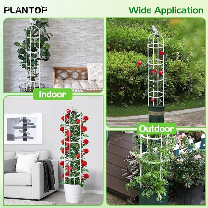 2 Pack Garden Obelisk Trellis with Solar Light, 6 Ft Trellis for Climbing Plants Outdoor Rose Bush Round Trellis for Pots, Rustproof PE Coated Metal Plant Support for Flowers Vine Indoor