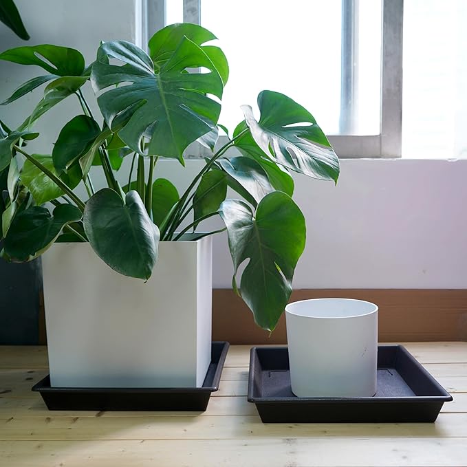 Square Plant Saucer 18 Inch 2 Pack, Large Plant Trays for Pots Heavy Duty Plastic Plant Saucers for Indoors Outdoors, Flower Pot Plant Drip Trays No Holes Plant Lover Gardening Gifts