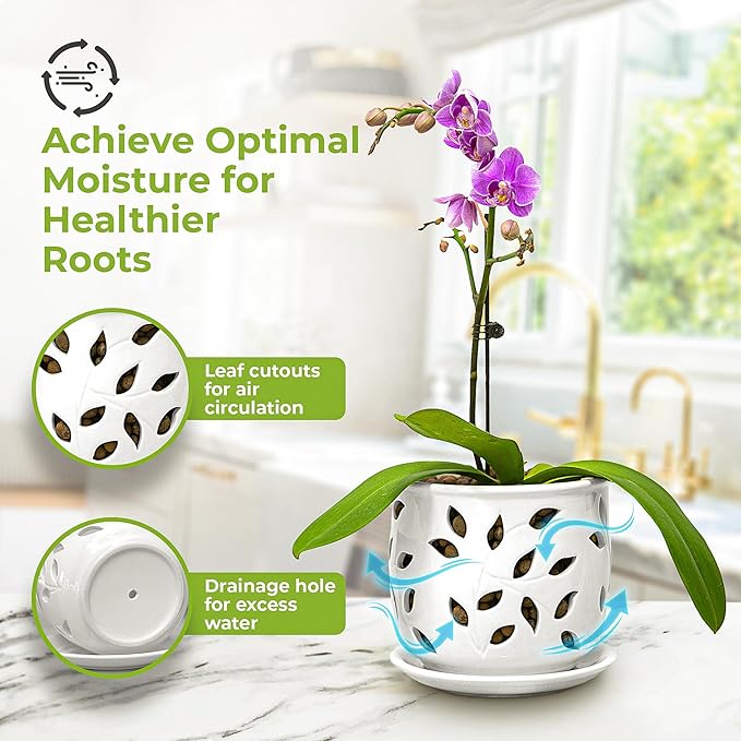Orchid Pot with Holes & Saucer Ceramic 6.5 in. Indoor or Outdoor Large Pot for Orchid Care & Root Health with Precise Aeration & Drainage – Durable for Repotting or New Plants