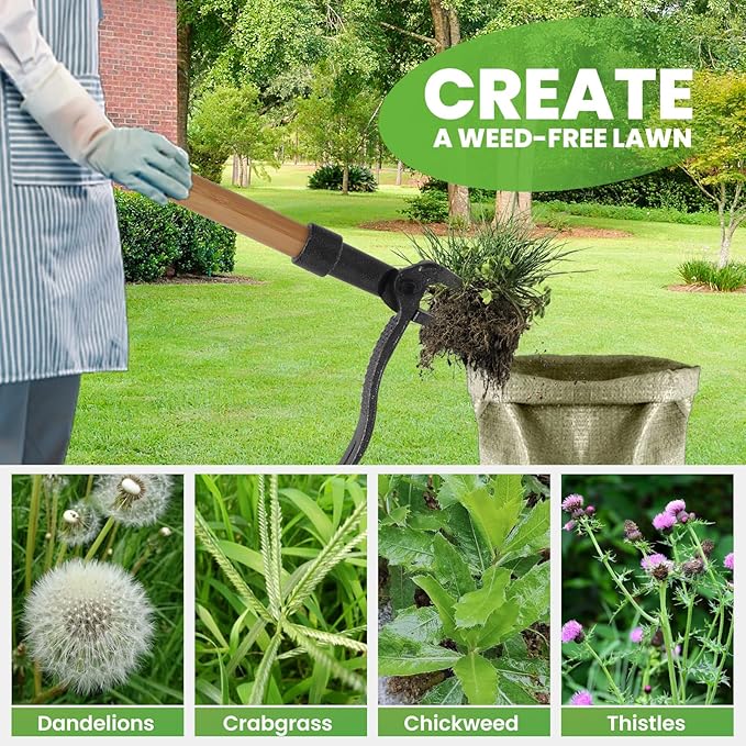 Weed Puller Tool Stand Up Weed Puller Tool with 3-Section Bamboo Handle & 4-Claw Steel Head Manual Weeder for Lawn and Garden (Bamboo)