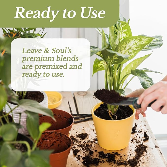 Professional Lucky Bamboo Soil | Large 2.2 Quarts Ready to Use for Lucky Bamboo Plants | Peat Moss, Coco Coir, Perlite, Dolomite | Made in USA