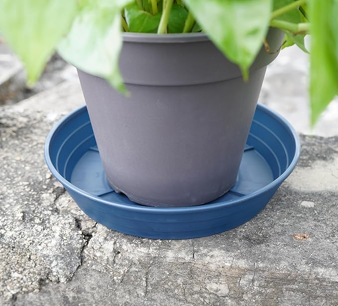 Plant Saucer 14 Inch 2 Pack 6 8 10 12 14 16 18 20 25, Plastic Plant Trays for Pots，Extra-Deep Plant Water Dray Tray, Bird Bath Bowl, Heavy Flower Plant Saucers Indoors and Outdoor No Holes