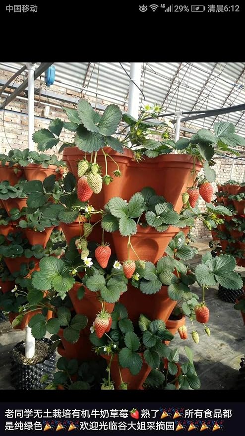 Mr. Stacky 5-Tier Strawberry Planter Pot, 5 Pots