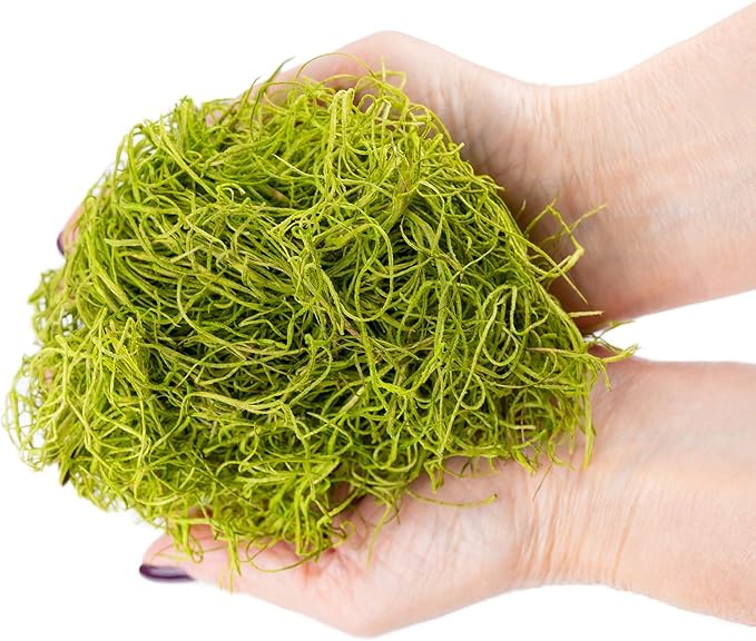 Premium Spanish Moss in Spring Green| Natural Preserved - Great Ground Cover - Filler for Potted Plants - by GARDENERA - 5 Quart Bag