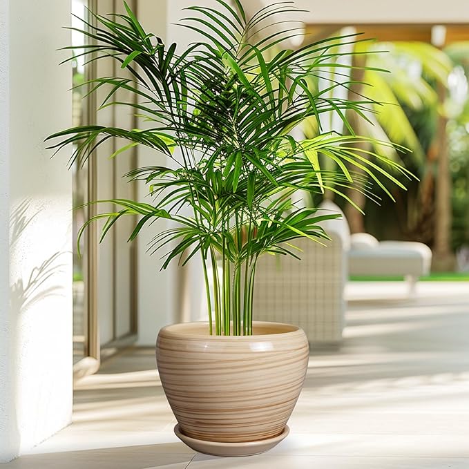 Planter Pot 8 Inch - Ceramic Pot for Plants Indoor Plant Pot with Drainage Hole and Saucer Round Planter Outdoor Modern Flower Pot Succulent Pot for House Patio Yellow