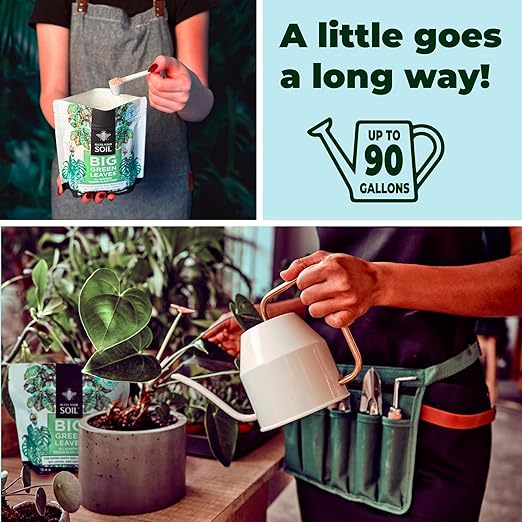 Big Green Leaves | Superfood Houseplant Fertilizer, Indoor Plants - Water Soluble Plant Food + Organic Kelp | 4X More Concentrated | 12-4-8 NPK (1LB)