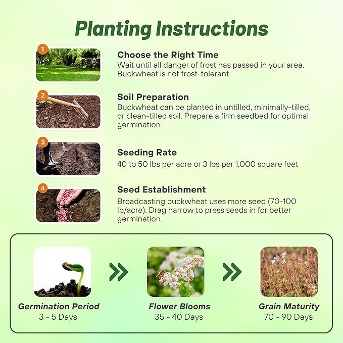Outsidepride Buckwheat Seeds - 1oz Annual, Fast-Growing, Easy to Grow Buckwheat Cover Crop Seeds for Green Manure, Bee Pasture & Pollinators, Wildlife Habitat, Soil Improvement, and Erosion Control