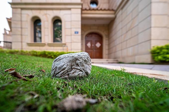 Hide-A-Key Fake Rock Security Safe Storage,Looks and Feels Like a Real Rock Spare Key,Safely Hiking Your Spare Key Outdoor,Yard or Garden Diversion Safes,Outdoor Statue.