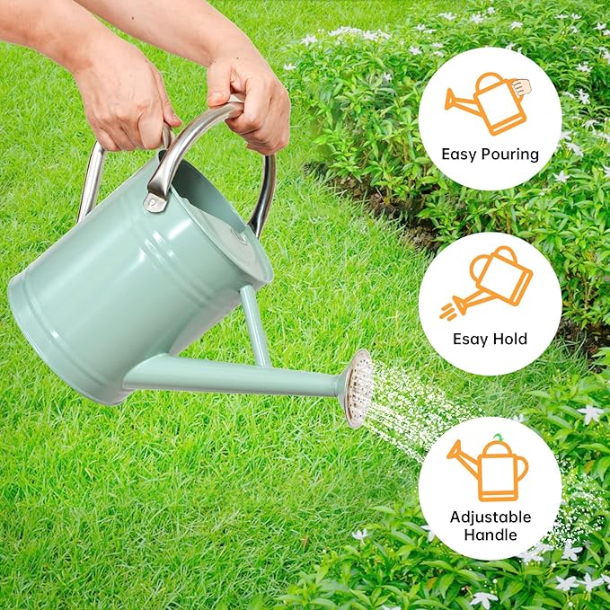 Metal Watering Can for Outdoor Plants, Galvanized Steel Watering Can with Removable spout, 1 Gallon,Perfect Home & Garden Décor Cream Green