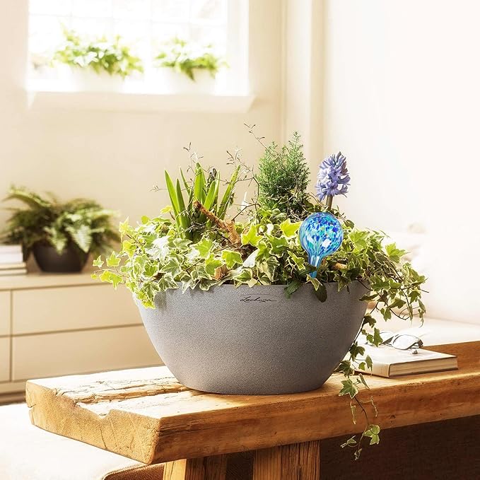 Plant Watering Globes Set of 6 - Large Self Watering Globes for Indoor & Outdoor Plants - Multicolored, Automatic, Glass Watering Bulbs for Daily Use, Plant Watering Devices