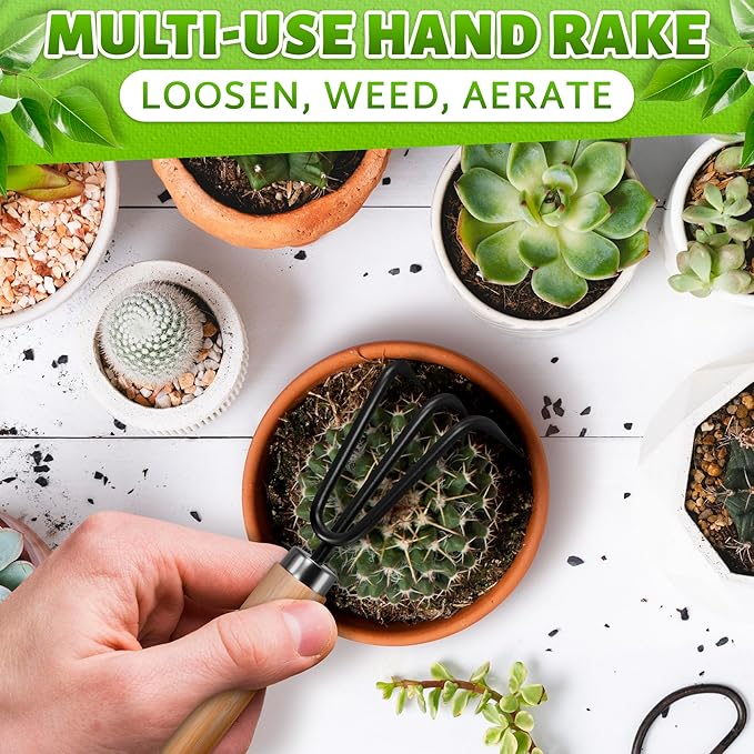 Mini Garden Tools - 3Pcs Indoor Plant Tools Set Indoor Gardening Tools Small Garden Shovel Mni Rake Small Gardening Tools Set Hand Rake Gardening Spade Gardening Supplies Indoor Garden Trowels