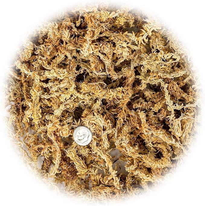 Premium New Zealand Sphagnum Moss - Organic Hand Mixed Long Fibered Sphagnum Moss Orchid - 3 Quart