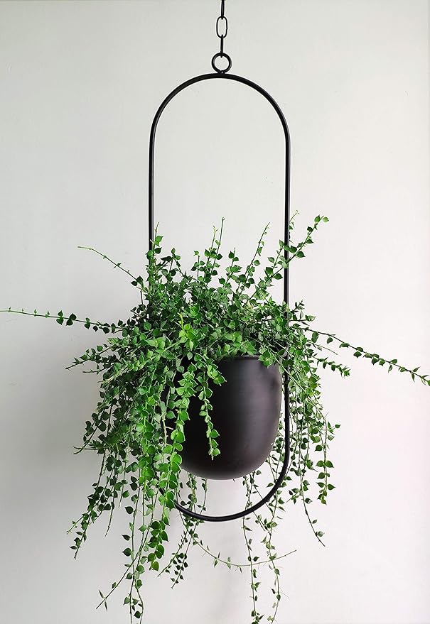 Boho Black Metal Plant Hanger,Metal Wall and Ceiling Hanging Planter, Modern Planter, Mid Century Flower Pot Plant Holder, Minimalist Planter for Indoor Outdoor Home Decor