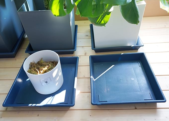 Square Plant Saucer 10 Inch 5 Pack, Plant Stand Flower Pot No Holes, Plant Trays for Pots Heavy Duty Plastic Plant Saucers for Indoors Outdoors Plant Lover Gardening Gifts
