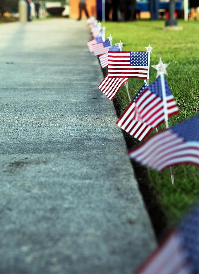 Brightown 4th of July Decorations Outdoor, Red White and Blue Lights, 6 Flag Lights Pathway, Memorial Day Decorations for Independence Day Garden Yard Lawn Outside Patriotic Decorations