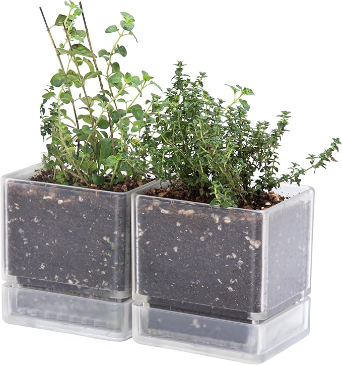 4 Inch Herb Planter Pot, Plastic Planter with Drainage Holes and Saucer, Modern Decorative Gardening Pot for Indoor Plants, Flowers, Herbs, Succulents, Clear, Set of 2, 76-Y-D-2