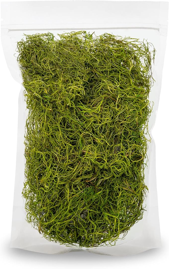 Premium Spanish Moss in Spring Green| Natural Preserved - 10 Quart - Great Ground Cover - Filler for Potted Plants - by GARDENERA (2 Bags of 5 Quart)