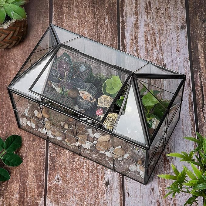 Ferrisland Glass Terrarium Greenhouse House Shape Display Box Planter for Succulents Plant Terrarium Container Mordern Tabletop Decor Gardern DIY Kit