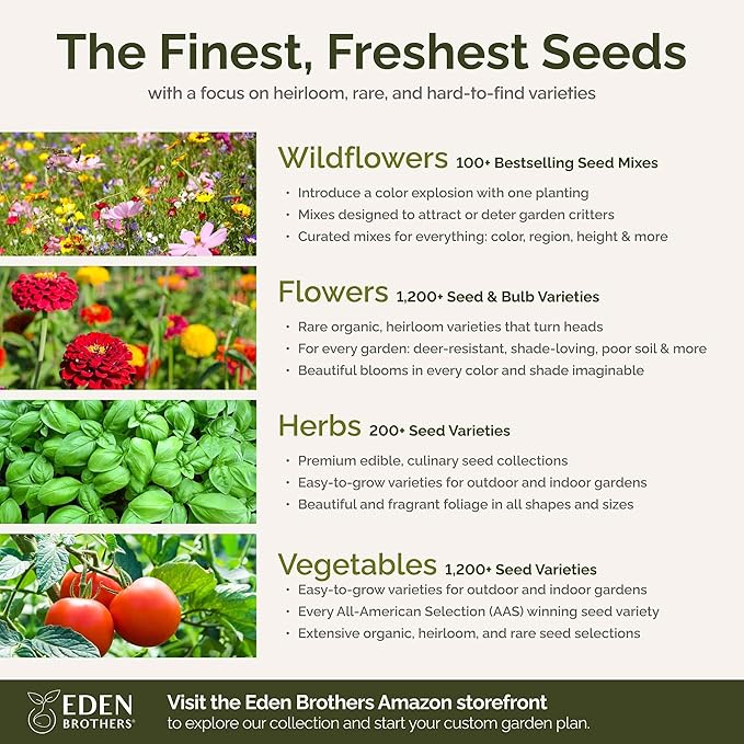 Eden Brothers Field of Dreams Flower Mixed Seeds for Planting, 5 lb, 2,400,000+ Seeds with German Chamomile, Cornflower | Attracts Pollinators, Plant in Spring or Fall, Zones 3, 4, 5, 6, 7, 8, 9, 10