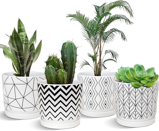 Ton Sin Plant Pots,5.5 Inch White Pots for Indoor Plants with Drainage Holes,Cylinder Flower Pot Ceramic Planters with Saucer,Cactus Succulent Outdoor Garden Pots Set of 4