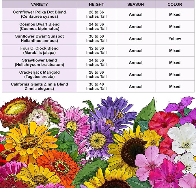 Seed Needs Garden Flower Seeds Large Blooms Mix Hummingbird and Butterfly | 2 Packs (1 Ounce Each) No Filler 7 Varieties Open Pollinated | Resealable Package Live Wild Flower Seed | Bulk