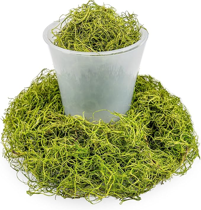 Premium Spanish Moss in Spring Green| Natural Preserved - 10 Quart - Great Ground Cover - Filler for Potted Plants - by GARDENERA (2 Bags of 5 Quart)