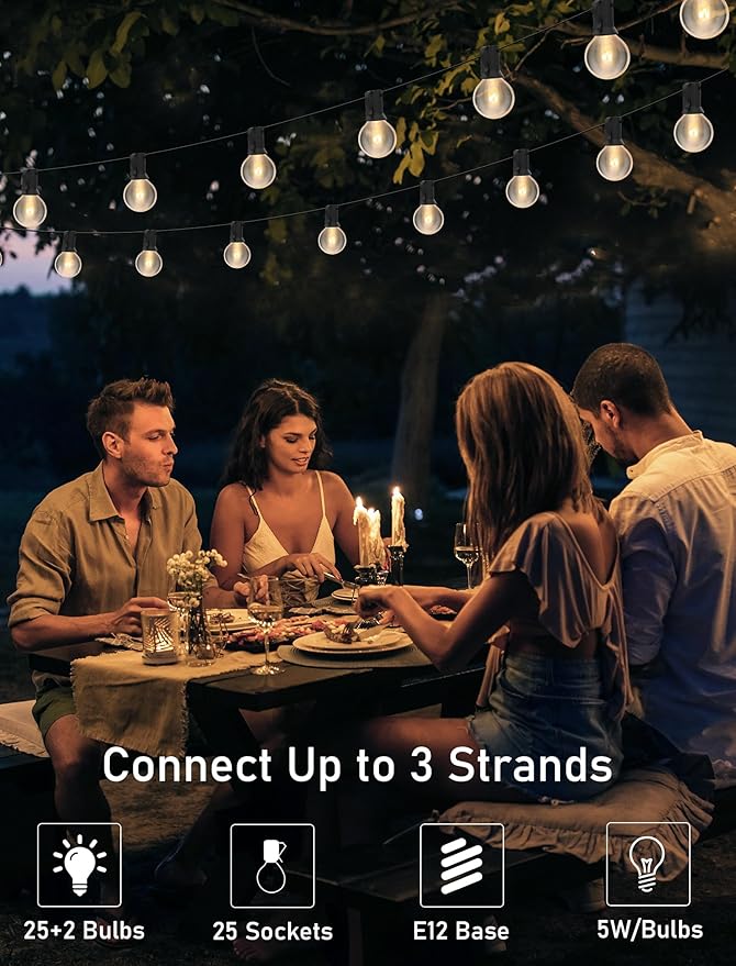 25FT String Lights, G40 Outdoor String Lights Edison Light Bulbs Clear Globe Lights for Backyard Patio Lights Indoor/Outdoor Commercial Decoration -5 Watt/120 Voltage/E12 Base -Black Wire