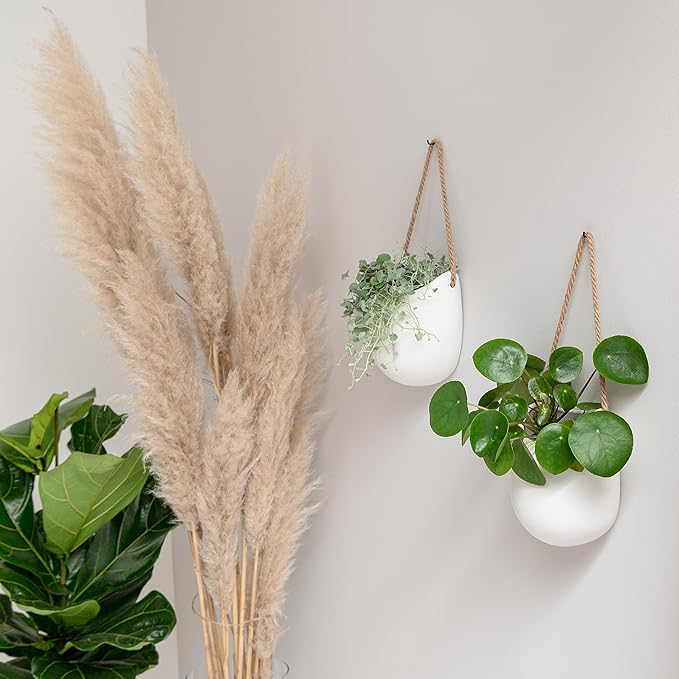Wall Planters -Ellie- | Hanging Ceramic Plant Pots 2 Pieces | Wall Decoration for Indoors, Balcony and Garden | White (Matte)